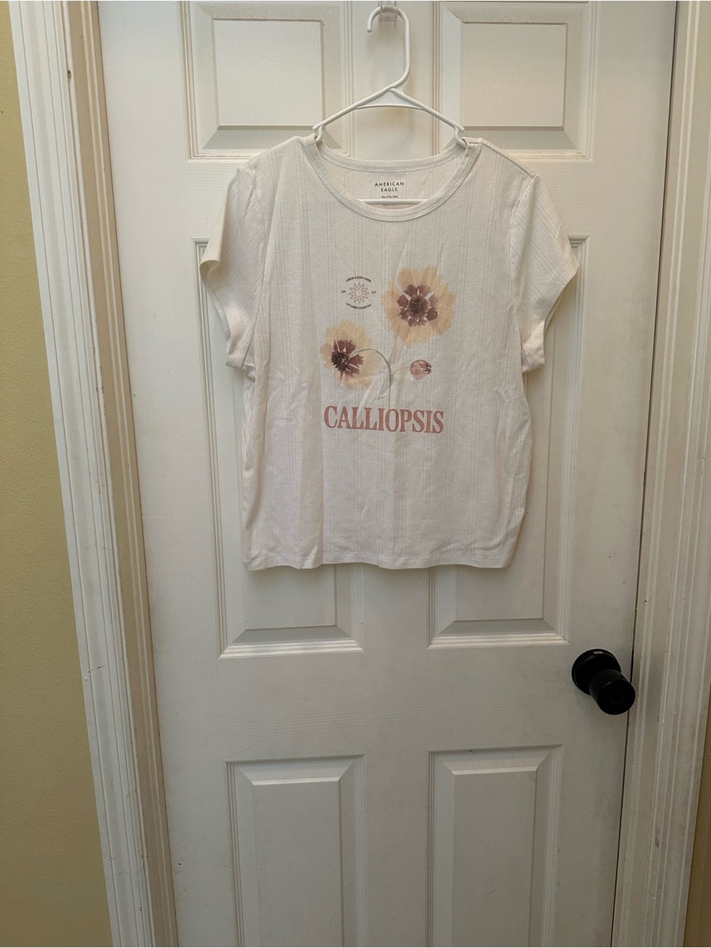 American Eagle Outfitters Cream Tee with Pink and Yellow Floral Print